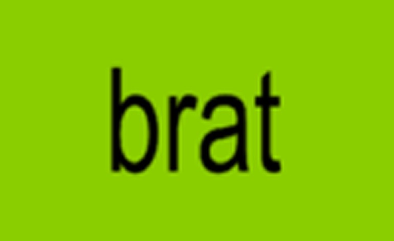 Charli xcx’s ‘Brat’ named Collins Dictionary’s Word of the Year