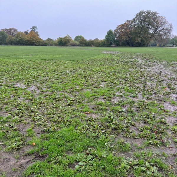 Damage to Brockwell Park last year. Photo credit: London Centric